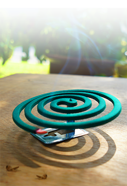 products-01-coil products-01-coil