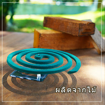 coil-wood-base-th coil-wood-base-th